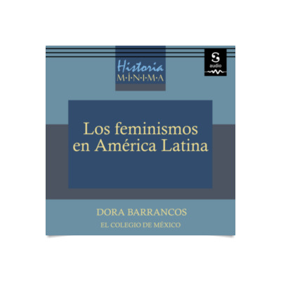 Historia M Nima De Los Feminismos En Am Rica Latina Ensayo Los