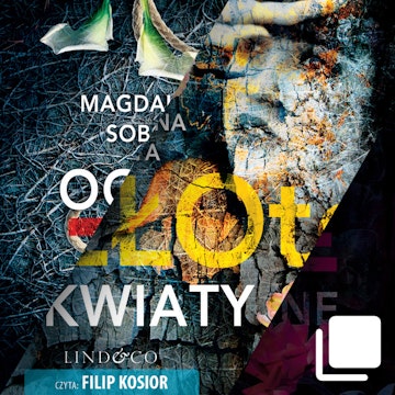 Śledztwa Herminy Wasylik