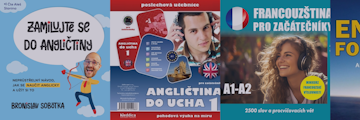 Výuka cizích jazyků