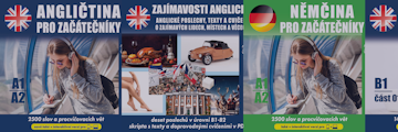 Výuka cizích jazyků