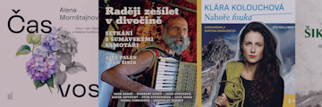 Česká literatura